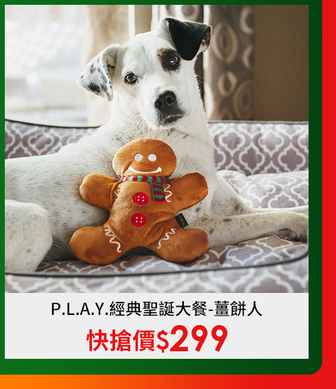 play,薑餅人,聖誕,耶誕,寵物
